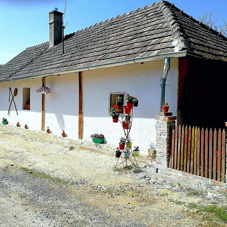 Traditionelles Bauernhaus Flieder Zalaszentgrót Eksteriør bilde