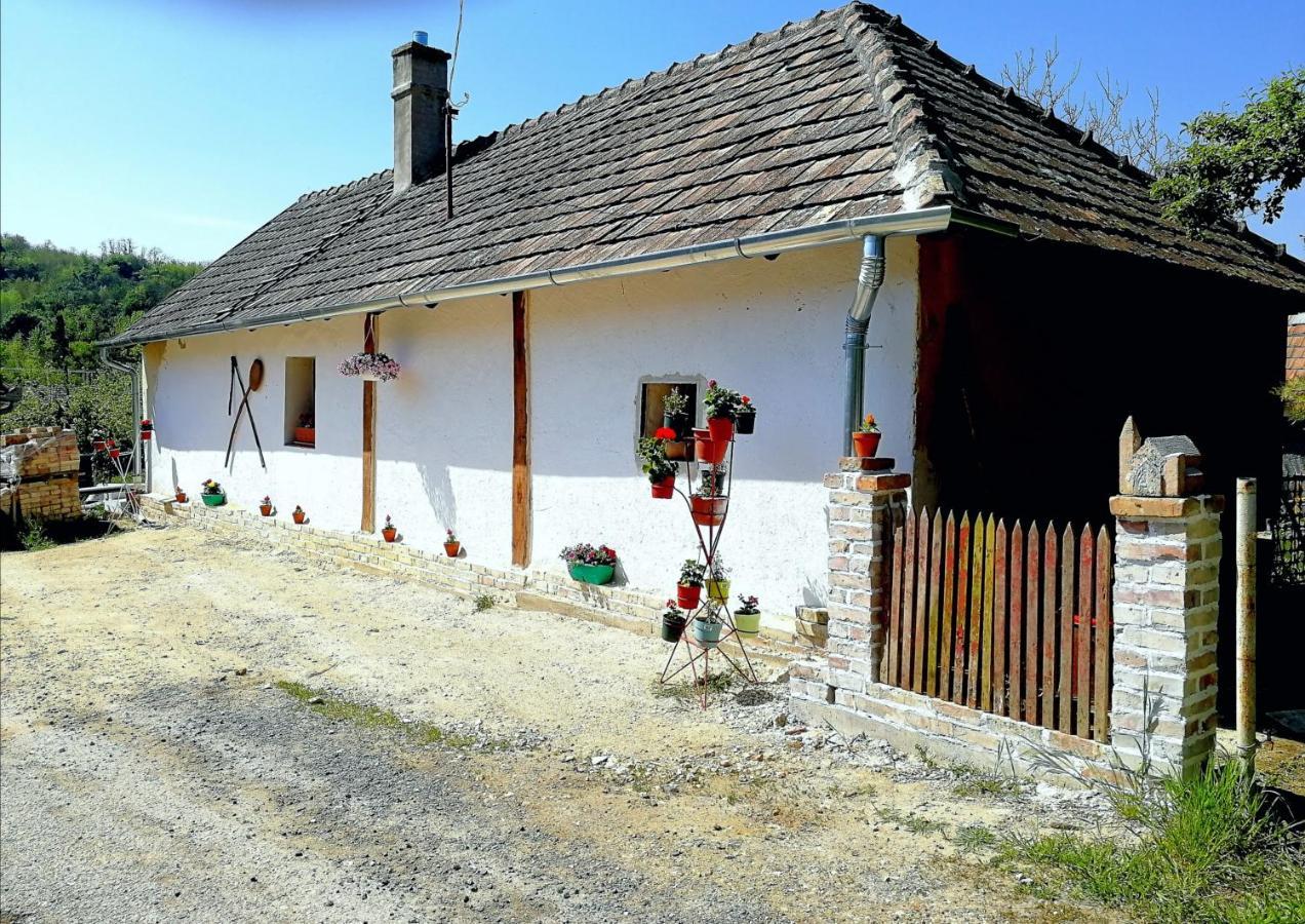 Traditionelles Bauernhaus Flieder Zalaszentgrót Eksteriør bilde